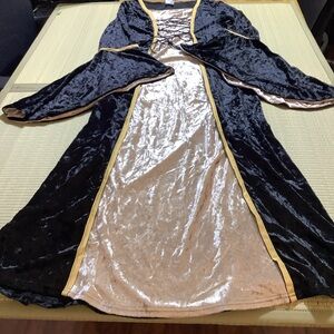 Costume Renaissance Medieval Dress